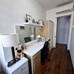 Balestier Road (D12), Shop House #505637091